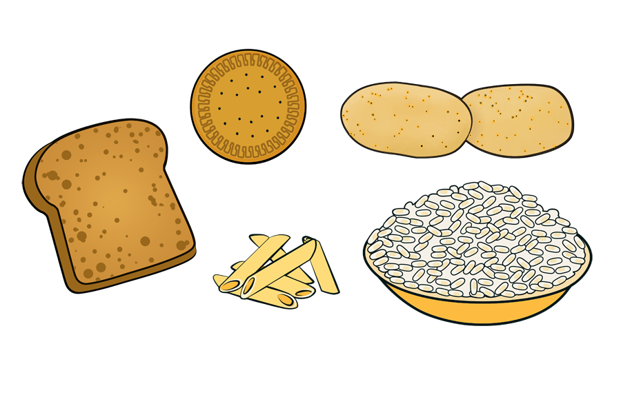 farinaceos https://escuchatuestomago.awspreferrer.com/wp-content/uploads/2021/01/farinaceos.png